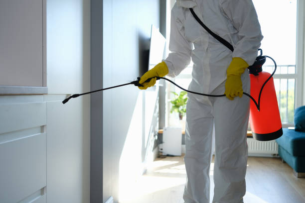 Best Mold Remediation for Healthcare Facilities  in Anderson, IN